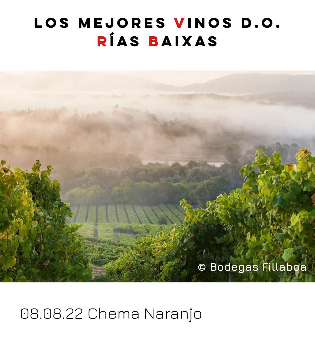 chemanaranjo's tweet photo. Los vinos D.O. Rías Baixas son la cristalización de siglos de tradición vitivinícola, combinada con técnicas modernas de vinificación.

Si te interesa, tienes disponible el artículo en:

https://t.co/C49dot5uz9…

Feliz verano wineLovers.
#gastromadrid #elblogdegastromadrid https://t.co/ia7JDxZ4i1