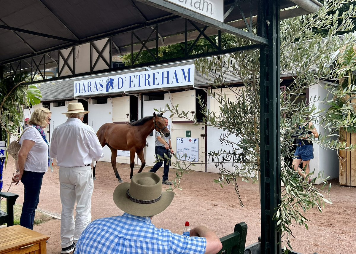 Stallion_Guide's tweet photo. The @Haras_d_Etreham team have been busy at Arqana today 👀
Their consignment includes yearlings by Etreham’s own first-crop sires HELLO YOUMZAIN and PERSIAN KING ✨
Keep up to date with the latest sire statistics inc. sales data with #StallionGuide
👉🏻 https://t.co/dS6C6wMSH1 https://t.co/IHNZfxVZGh