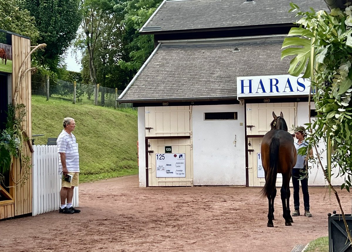 Stallion_Guide's tweet photo. The @Haras_d_Etreham team have been busy at Arqana today 👀
Their consignment includes yearlings by Etreham’s own first-crop sires HELLO YOUMZAIN and PERSIAN KING ✨
Keep up to date with the latest sire statistics inc. sales data with #StallionGuide
👉🏻 https://t.co/dS6C6wMSH1 https://t.co/IHNZfxVZGh