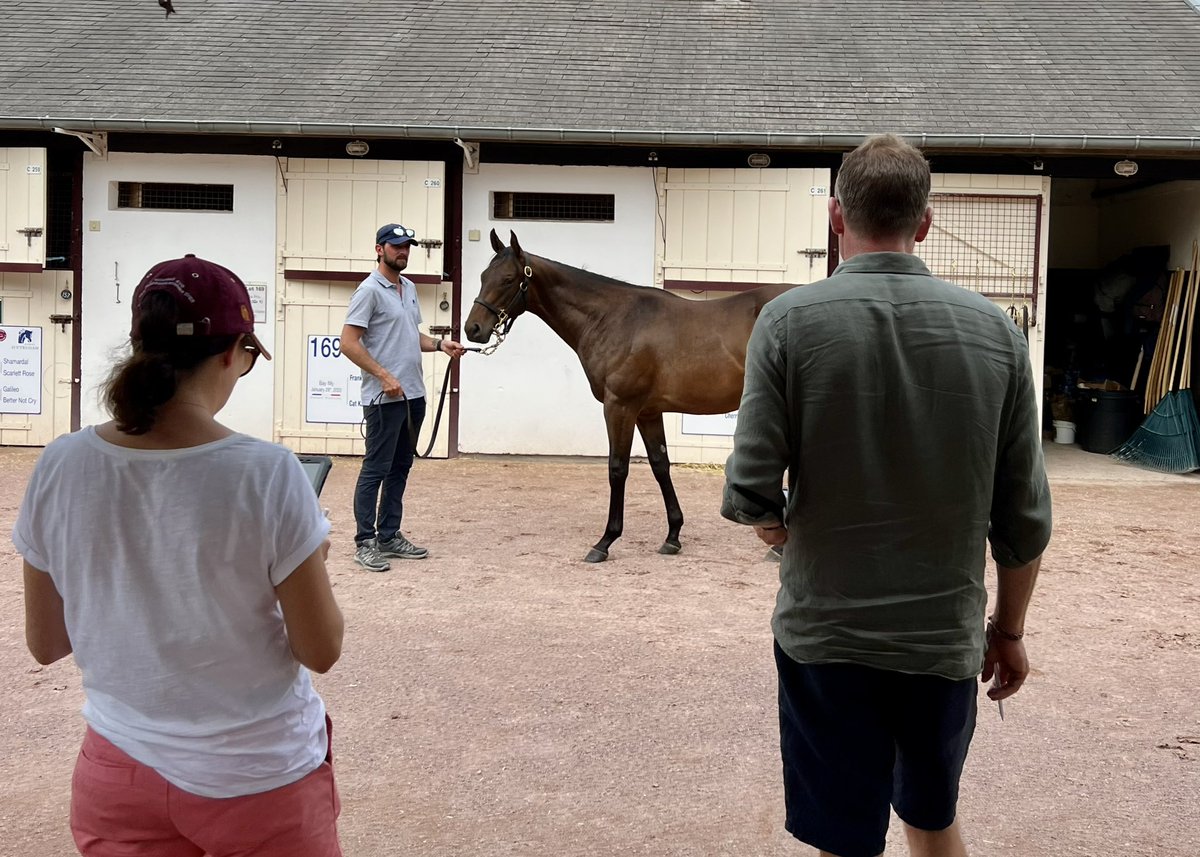 Stallion_Guide's tweet photo. The @Haras_d_Etreham team have been busy at Arqana today 👀
Their consignment includes yearlings by Etreham’s own first-crop sires HELLO YOUMZAIN and PERSIAN KING ✨
Keep up to date with the latest sire statistics inc. sales data with #StallionGuide
👉🏻 https://t.co/dS6C6wMSH1 https://t.co/IHNZfxVZGh