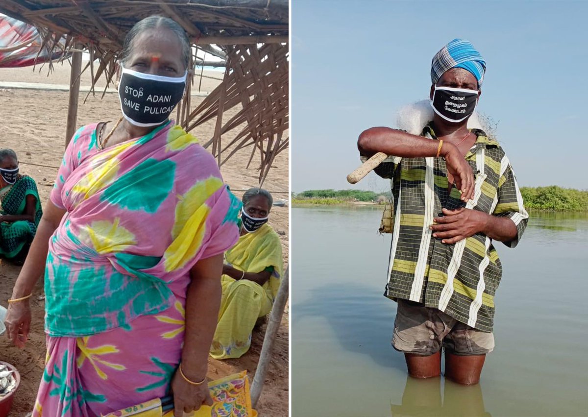 Fishing community members wear black masks to protest against the megaport proposed by Adani Port Limited in the village of Kattupalli, just south of the Pulicat lagoon. If built, this will irreversibly damage the biodiverse region. 

#StopAdaniSaveChennai

📷: S. Palayam.
