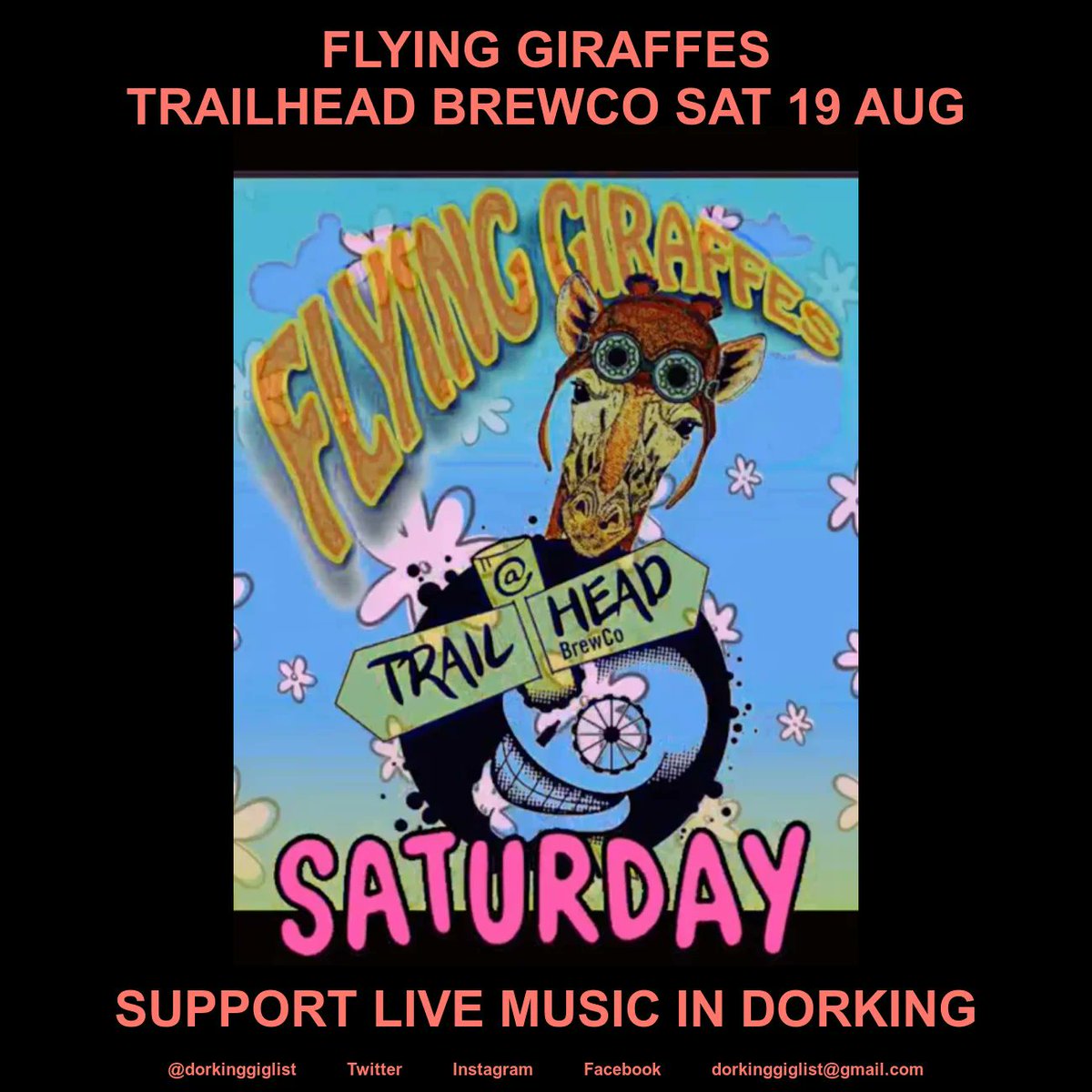 Flying Giraffes plays Trailhead Brew Co Sat 19th Aug 7PM #dorkinggiglist