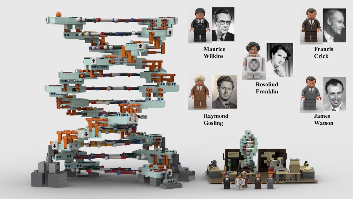 Lego_DNA's tweet image. We are back with Lego DNA 2.0!
10,000 votes may make it a REAL Lego set (link in bio)

This time better, more accurate, more beautiful and playable!

If you liked it, please support via link in bio and share with friends 
#legodna #legoscience #legolab #dna #rosalindfranklin