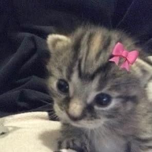 caitlyn #1 kyra LUVER!! tweet media