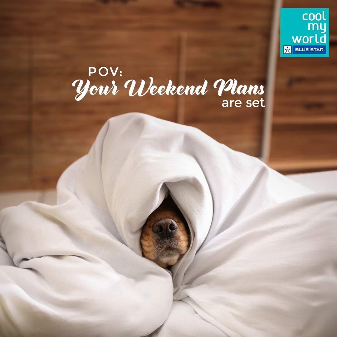 Cool_My_World's tweet image. Blanket Hugs and Weekend Love: Your Cozy Escape Awaits!

#Weekend #WeekendPlan #Friday #Cozy
