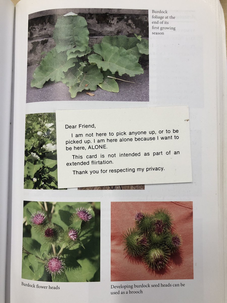 robin_squash's tweet photo. interesting find in the urban plant guide https://t.co/2kJTEjUfeu