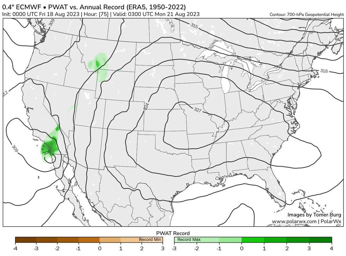 Tomer Burg tweet media