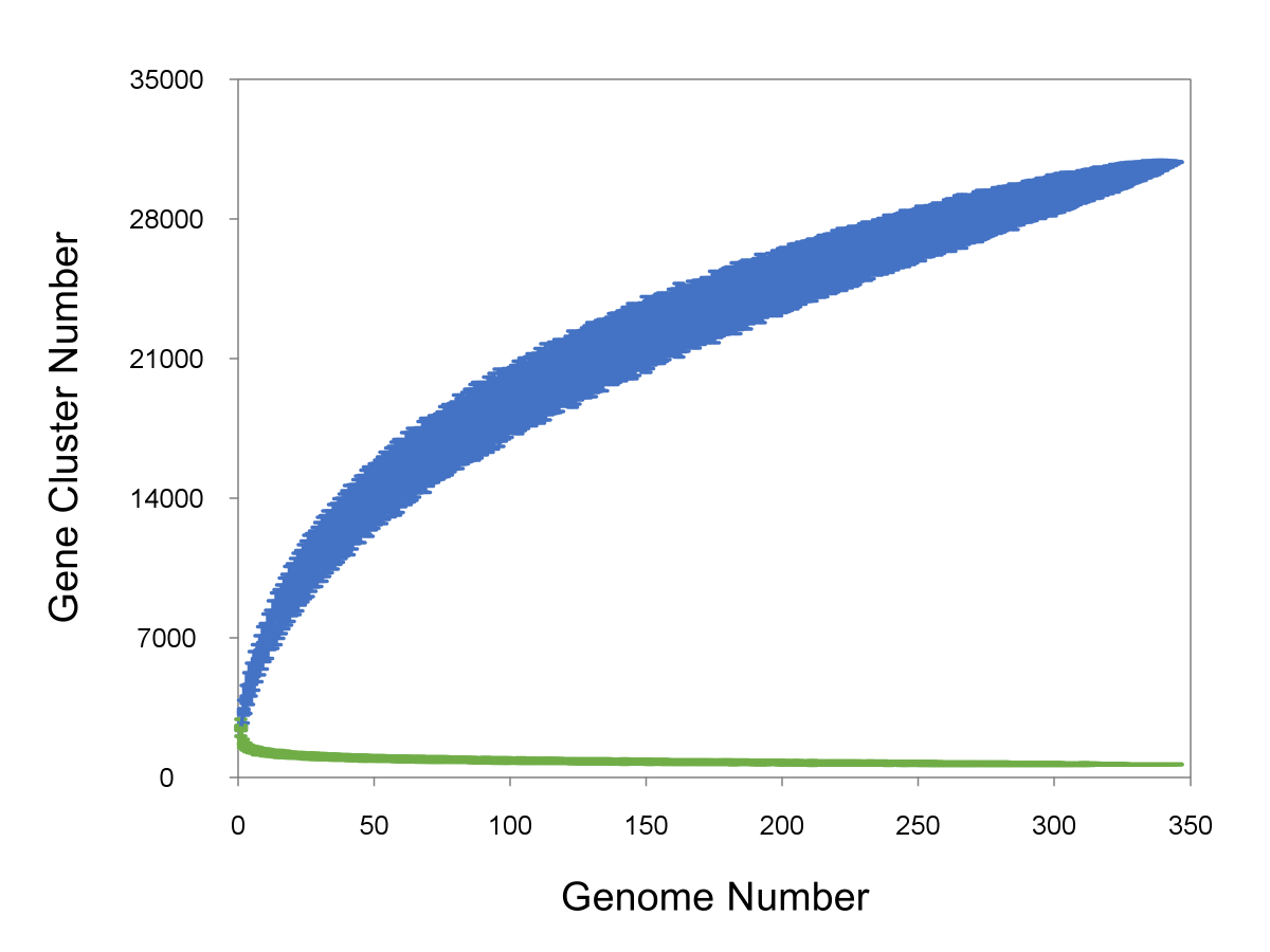 tabish_741's tweet photo. "🧬 Diving into Lactococcus species' genomic secrets! 🧪 Open pangenome analysis reveals fascinating insights. 🧐 Check out the dynamic pangenome & core genome curve – unlocking the genetic diversity! 💡we've discovered #NewGeneClusters 🧬🔍 #Genomics #Lactococcus #microbiome https://t.co/49KZ6arSXA