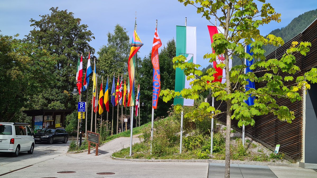 Bendjedid Rachad Sanoussi tweet media