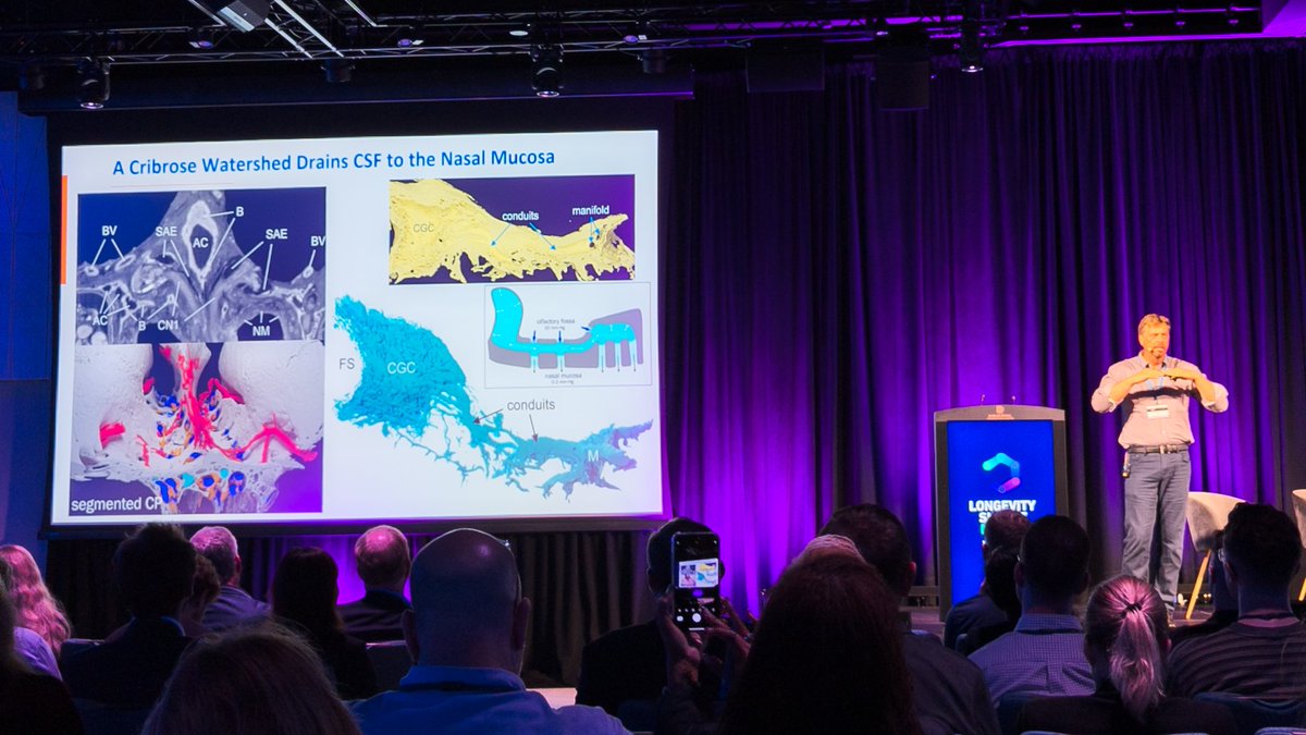 Next up: <a href="/DougEthell/">Doug Ethell</a>, explaining how drainage of cerebrospinal fluid (ie the liquid in your brain) is a crucial way to dispose of the proteins that accumulate in Alzheimer’s disease.