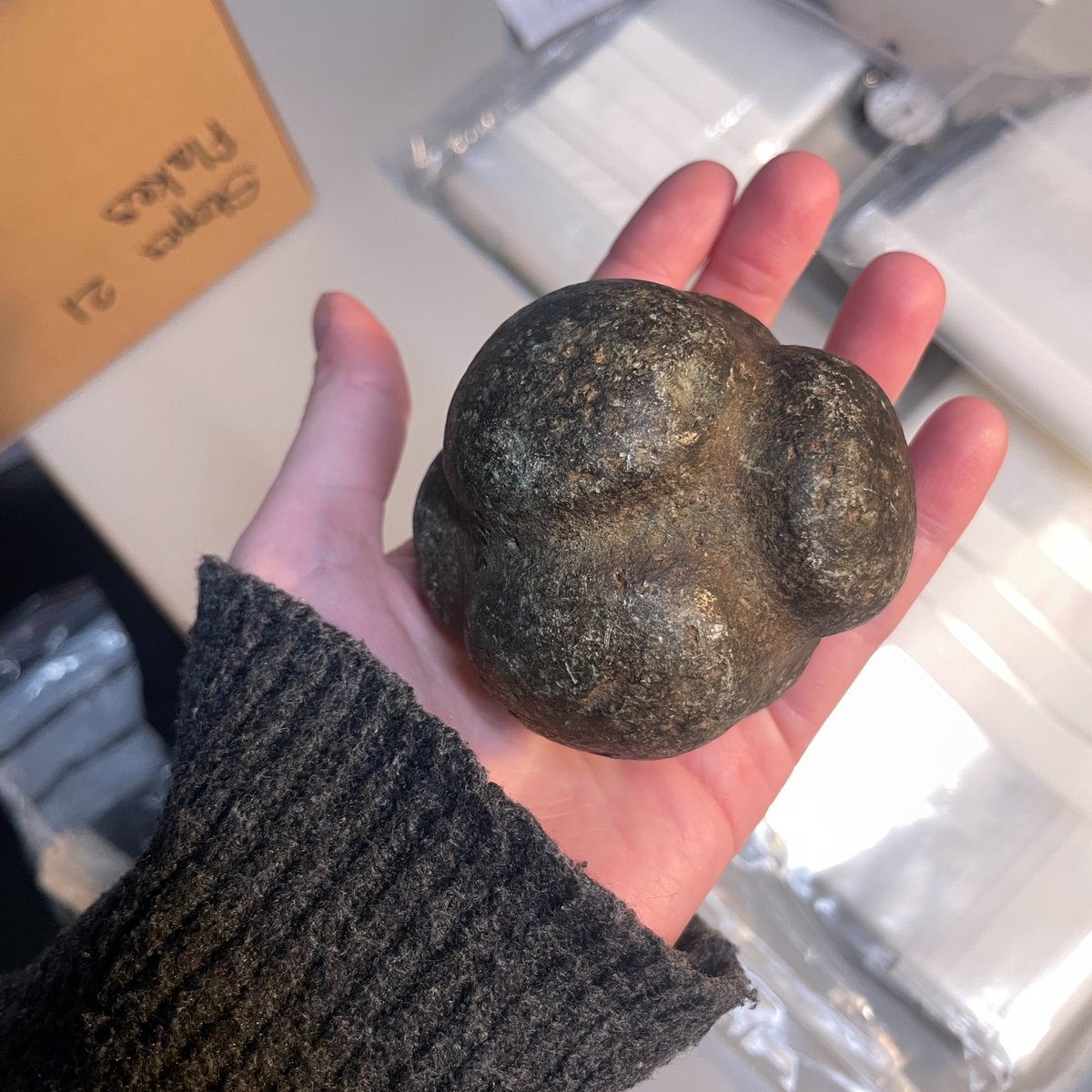SF_Archaeology's tweet photo. Hen gasgliadau: syrpreisys newydd! Mae gwirfoddolwyr wedi bod yn brysur yn trefnu casgliad mawr o gerrig a doedden ni methu credu'r peth pan welon ni'r bêl garreg gerfiedig hon!
Yn wreiddiol o Swydd Aberdeen, roedd yn 1 o >100,000 o ganfyddiadau a gasglwyd gan Henry Stopes. https://t.co/vT7z1FJXfK
