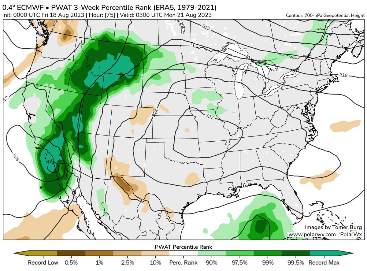 Tomer Burg tweet media