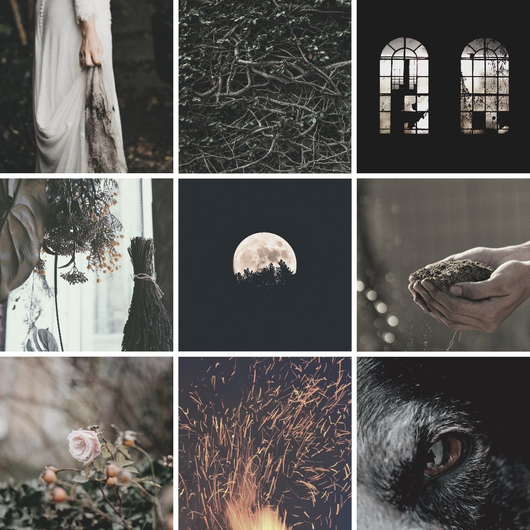 Since romantasy seems to be a Thing now, can I interest anyone in my beauty + the beast with werewolves YA that's on sub? It's got: 🥀 An anxious bi witch with flower magic 🥀 a pack of werewolves desperate to break their curse 🥀 Complicated family secrets 🥀 Germanic folklore