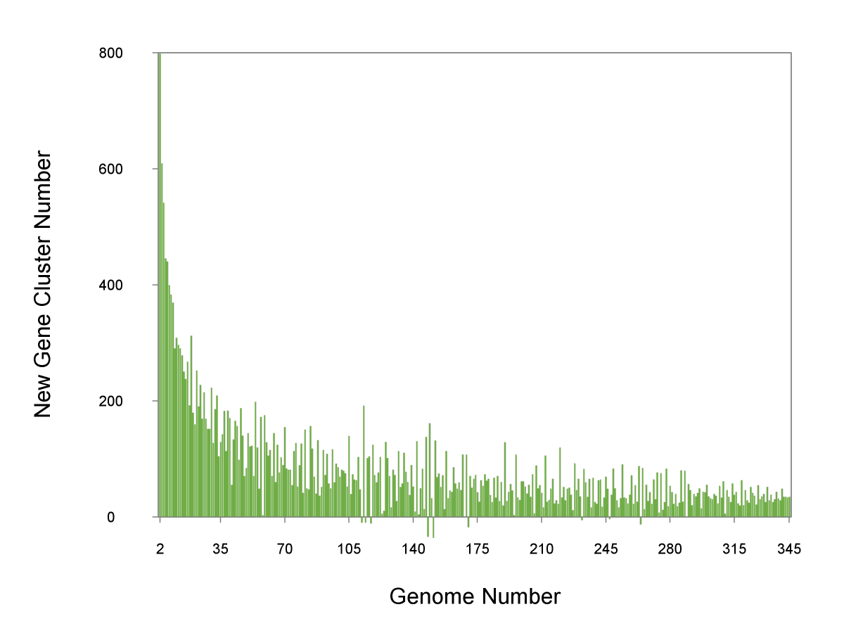 tabish_741's tweet photo. "🧬 Diving into Lactococcus species' genomic secrets! 🧪 Open pangenome analysis reveals fascinating insights. 🧐 Check out the dynamic pangenome & core genome curve – unlocking the genetic diversity! 💡we've discovered #NewGeneClusters 🧬🔍 #Genomics #Lactococcus #microbiome https://t.co/49KZ6arSXA