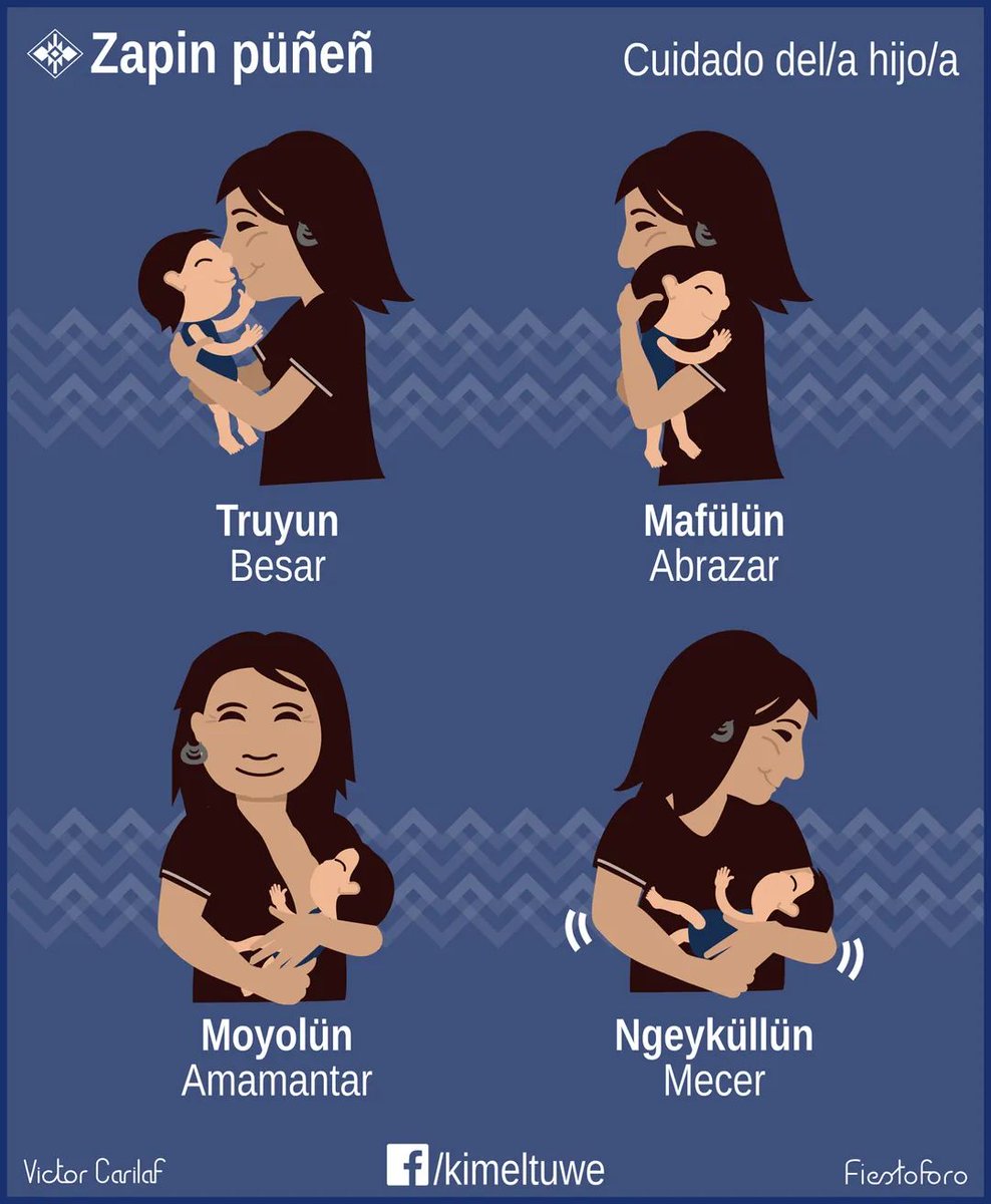 Zapin püñeñ
#mapuche #mapudugun #mapuzungun