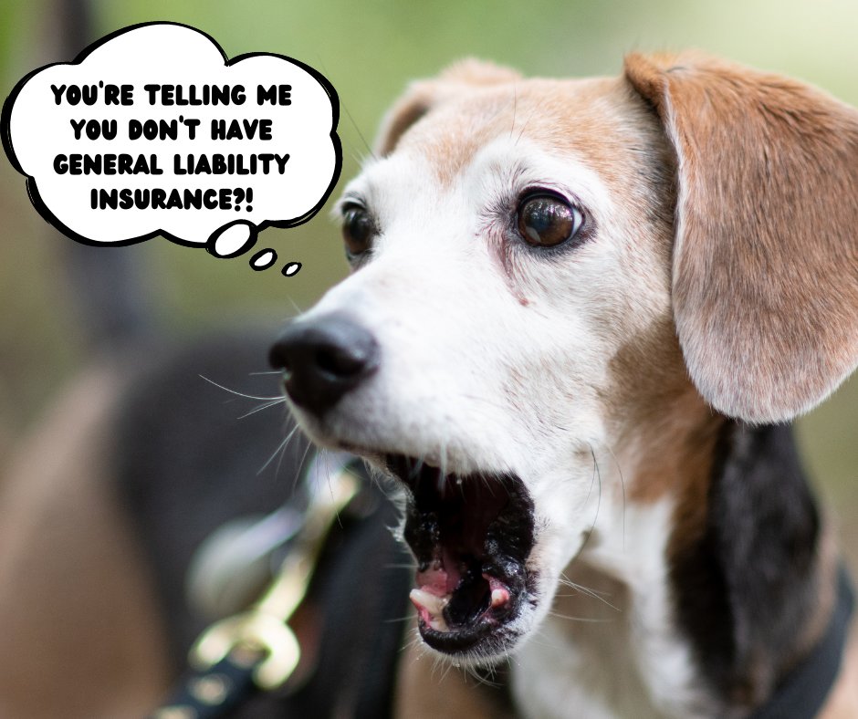 ELWebsterIns's tweet image. 🐾If you're a pet sitter, general liability insurance can protect you and your business from potential lawsuits. Contact us today to learn more. #PetSitters #LiabilityCoverage (301) 843-6665