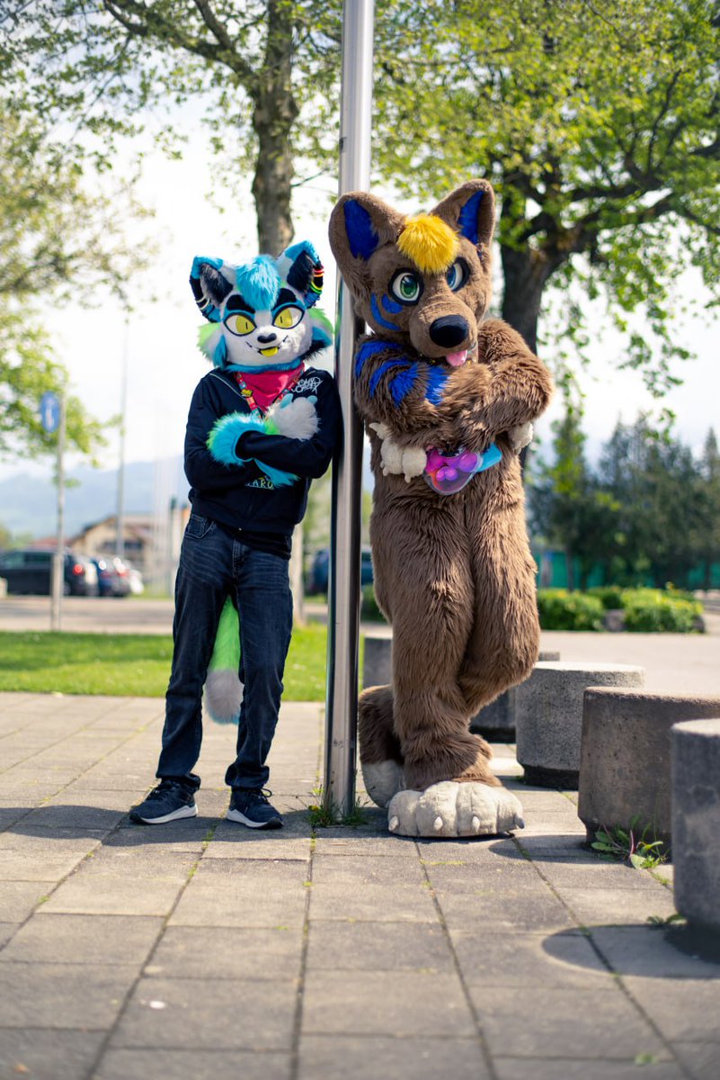Pose into the weekend with the best bear 😎🐱🐻

🐻 <a href="/CydoBear/">CydoBear</a>
📷 <a href="/ShizahPics/">Shizah's photo collection</a> 

#FursuitsFriday #furryfandom #furry