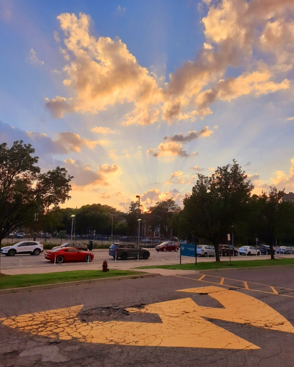 Wayne State University tweet media
