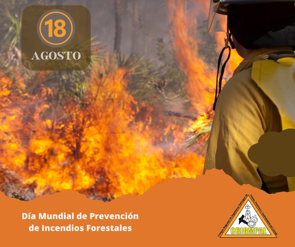 CRIGMPAL tweet media