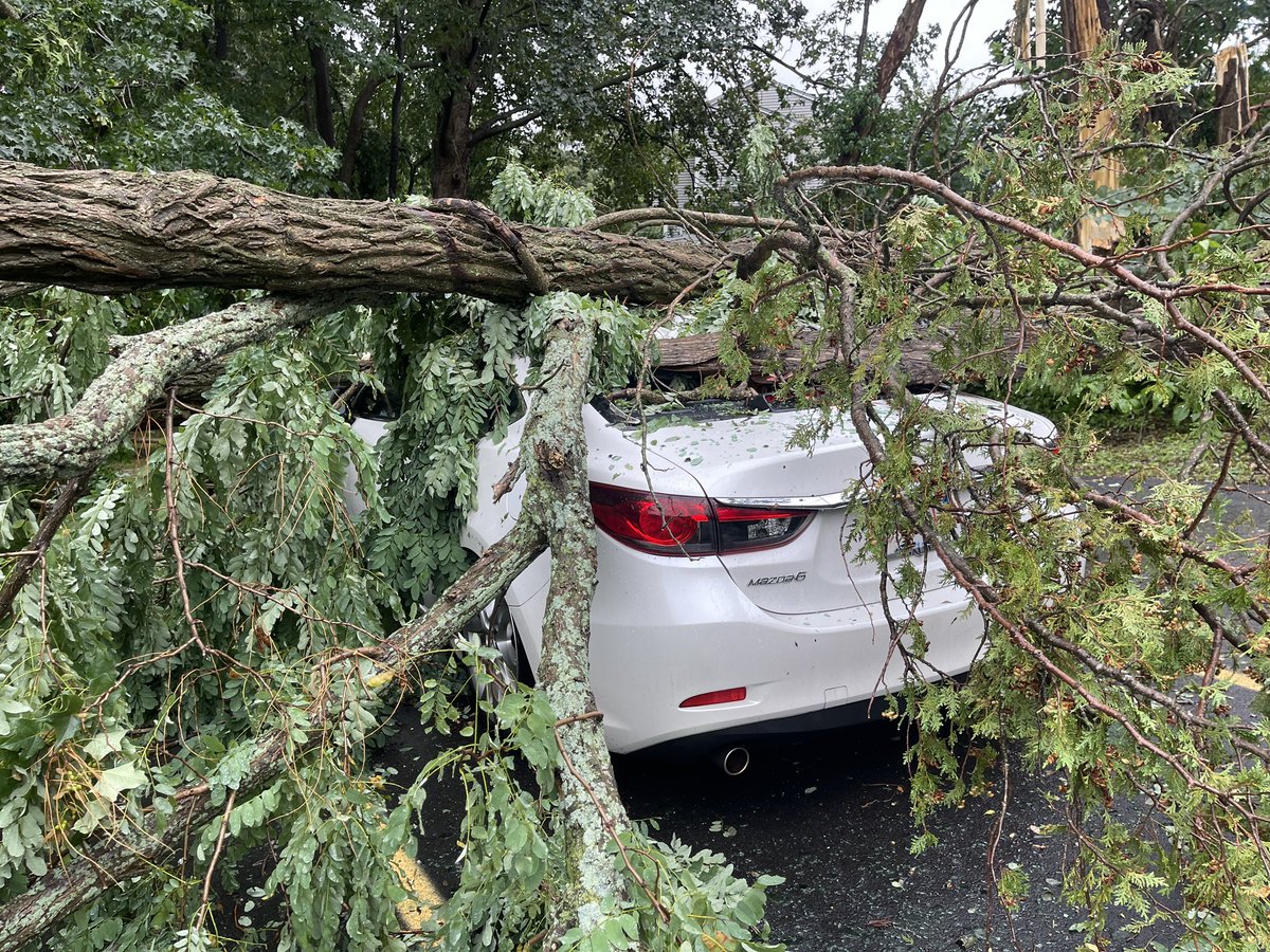 JoeNews42's tweet photo. #New three cars were crushed by a tree that fell right off Douglas Avenue in North Providence, spoke to a tenant who said no one was hurt @wpri12 https://t.co/8ytj32kQ8P