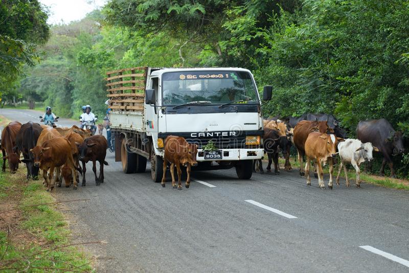 marielp82893334's tweet image. #LaTerminal Misma energía...