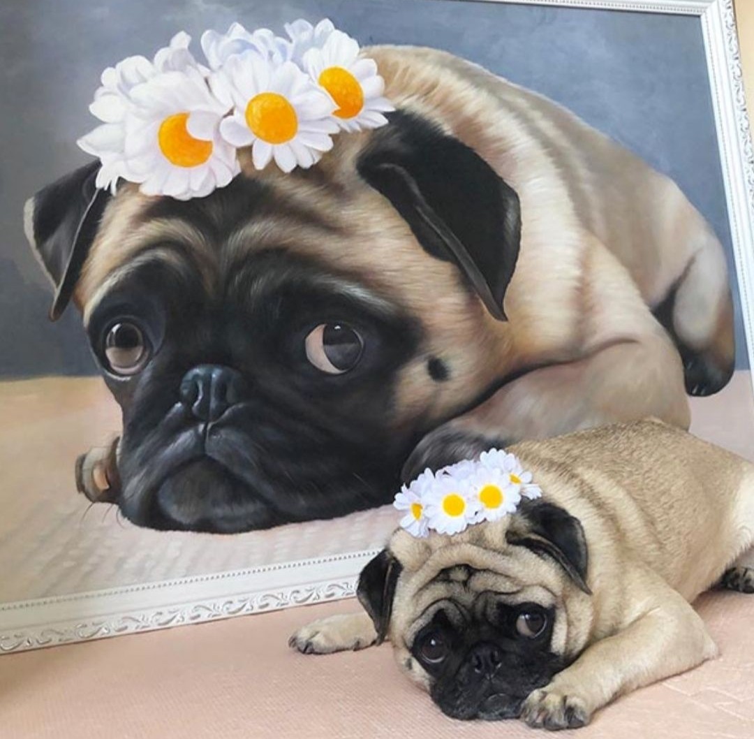 It's giving #puppyeyes 🥹💜
.

.

.
#paintyourlife #itsapugslife #portrait #dogmom #furbaby #pug #puppyportrait #handmade #oilpainting #dogstigram