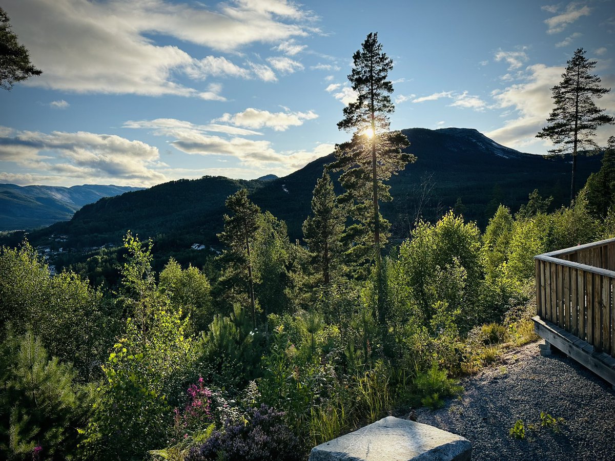 janvayne's tweet photo. We hebben m net voor het eerst uitgebreid getest, deze te gekke houten Noorse villa, Gandalv Hytte!
Fantastisch,  middenin Noorwegen, tussen de bergen en meren.
Rust, ongerepte natuur!

En wanneer we er zelf niet kunnen zijn is ie te huur:

https://t.co/ivx6rzbX8c https://t.co/r9izL6zztI