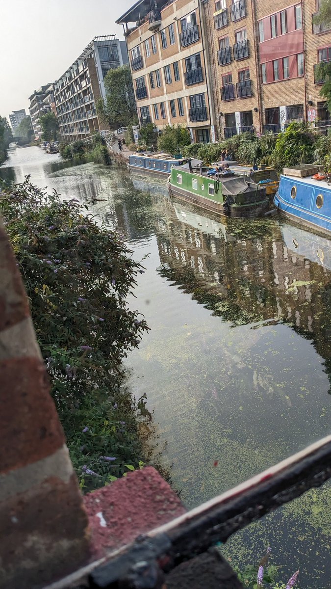 bushell757's tweet image. The Guinness and the view is top notch cafebythebridge hackney