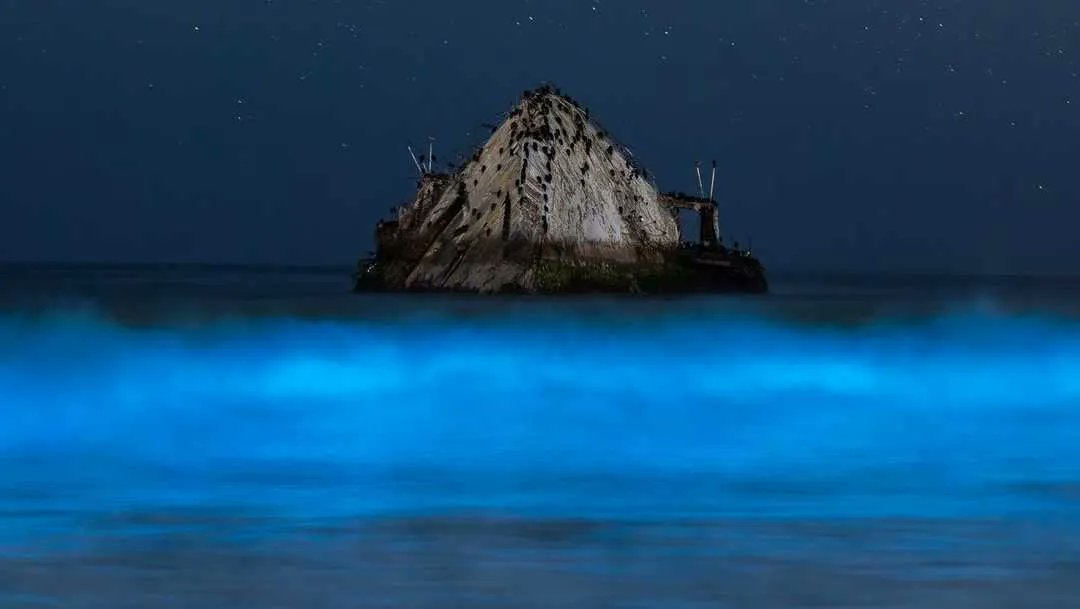 RT @windowsworksUSA Here's a source of future inspiration -- bioluminescent plankton near Santa Cruz, CA. Doesn't it look like artwork? bit.ly/453U3HH #KBtribechat