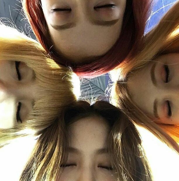 jendumandek's tweet photo. #블랙핑크트친소 #블랙핑크_트친소 #블링크트친소 #블링크_트친소
최애가 제니인 중3 블링크에요🩷
블링크면 모두 맞팔 받으니 친하게 지내용✨️ https://t.co/yUPGLheNjG