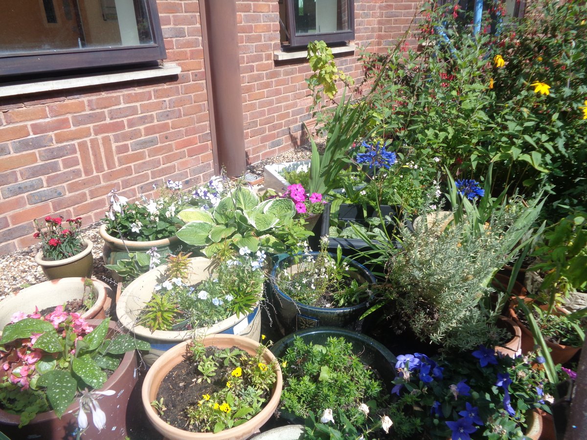 Drab to Fab Garden! We've been busy transforming our courtyard garden this summer! <a href="/SPFT_NHS/">Sussex Partnership</a> Now a space for relaxation. A huge thank to <a href="/StRichardChi/">StRichard Chichester</a> Friends of the hospital for funding this and to our patient's/ wonderful OT tech who helped transform and are now maintaining it