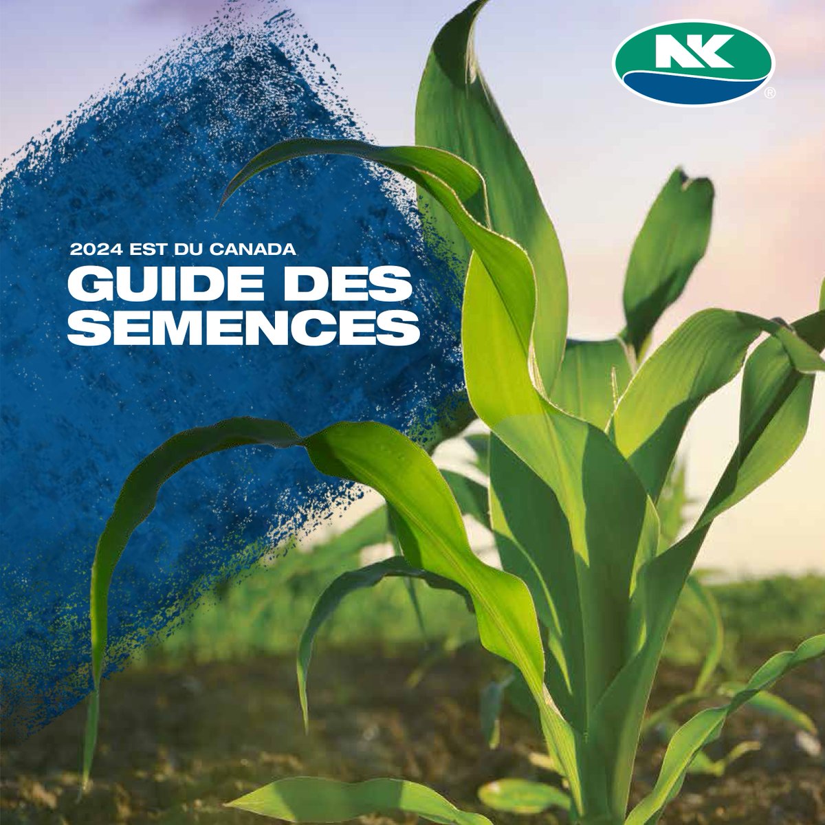 NKSeedsCanada's tweet photo. Notre Guide des semences 2024 est arrivé ! Découvrez les plus récents ajouts à nos produits et plus encore. 🌱🌽♥️

Téléchargez : https://t.co/OYfMCGwsFJ https://t.co/nrmkcP9pCo