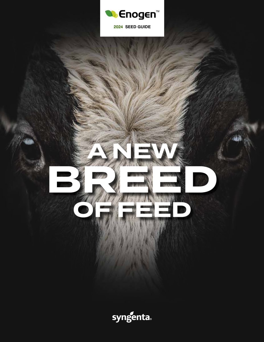 EnogenCanada's tweet photo. The 2024 @EnogenCanada Seed Guide is now available online! Download your copy today to get the scoop on our portfolio &amp; learn how this #NewBreedofFeed can impact your operation.

English version: https://t.co/nrIHzuzewj
French version: https://t.co/66Cj90PsjN https://t.co/eCSPcRnpcN