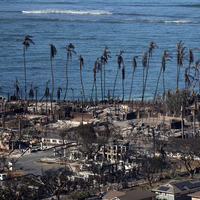 alabbabubba's tweet photo. È la prima volta che vedo un incendio che salva le piante ma non le case! Strano questo riscaldamento globale 😉 https://t.co/04YWONJyv4