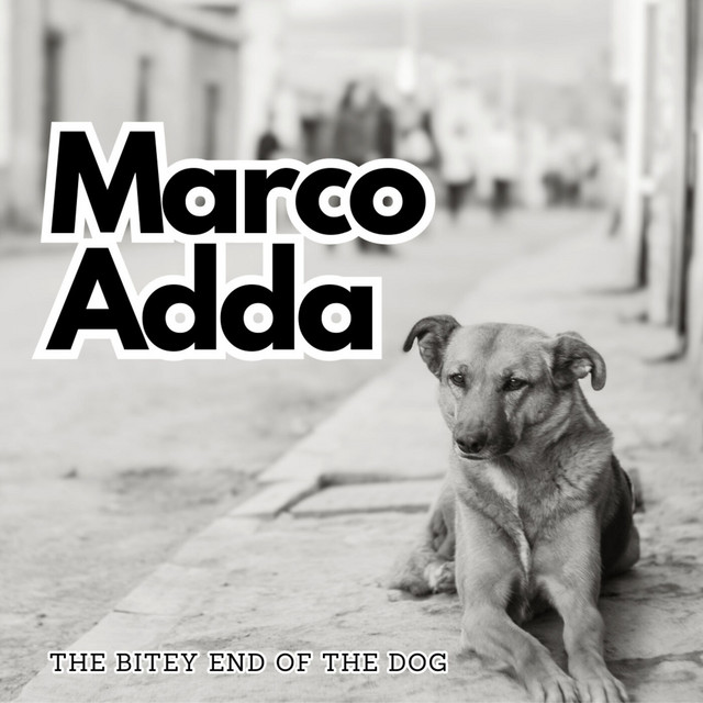 MarcoAddaAEDC's tweet photo. It's my pleasure to be on "The Bitey End of the Dog" Podcast by friend and canine expert Michael Shikashio. Enjoy the listening. https://t.co/iCazsM7jq8

#dogs #canines #anthrozoology #freerangingdogs #straydogs #michaelshikashio #marcoadda #podcastshow https://t.co/18W2ByCjT4