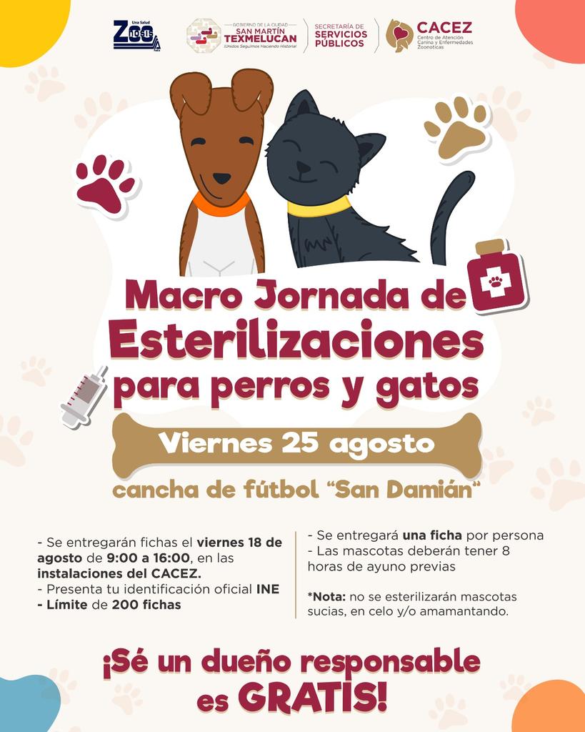 ArchivoTex's tweet photo. Te invitamos a la macro jornada de esterilizaciones gratuitas para perros y gatos 🐕🐈.

👉 Aparta tu ficha HOY,  viernes 18 de agosto en las instalaciones de CACEZ (Campo de San Damián) de 9:00 a 16:00 hrs.
#SanMartínTexmelucan https://t.co/GpxoodsG32