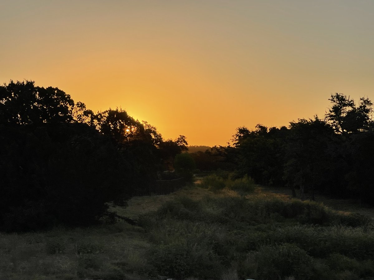 Chikage Windler tweet media