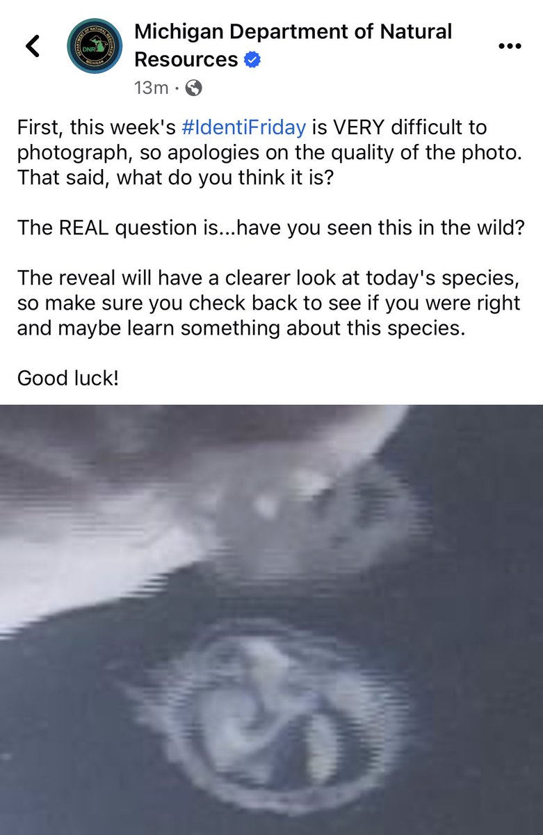 WildlifeBioGal's tweet photo. I think the #GreatLakesSci crew will knock this one out of the park.
ps…@MichiganDNR, please bring #IdentiFriday to Twitter. The sci crew loves to play science games. https://t.co/kJqdOjB2G8