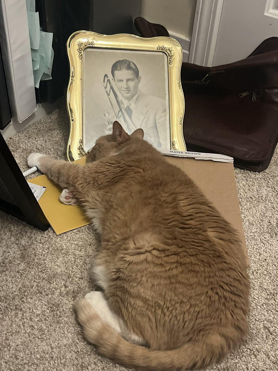 CatticusTheCat's tweet photo. giving my great great grandpa a hug https://t.co/yIQ08lpJBI
