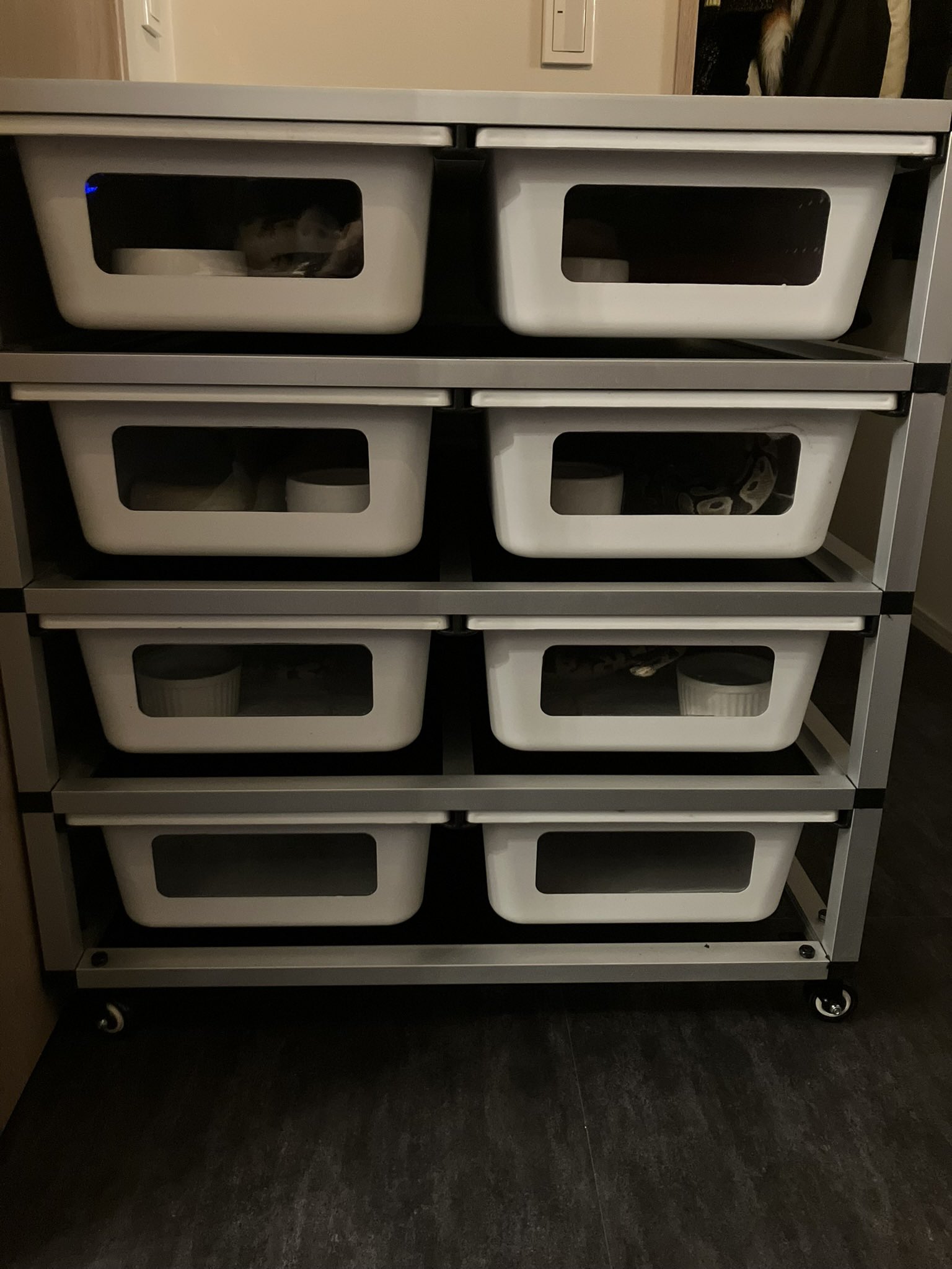 スネークラック - Search / X