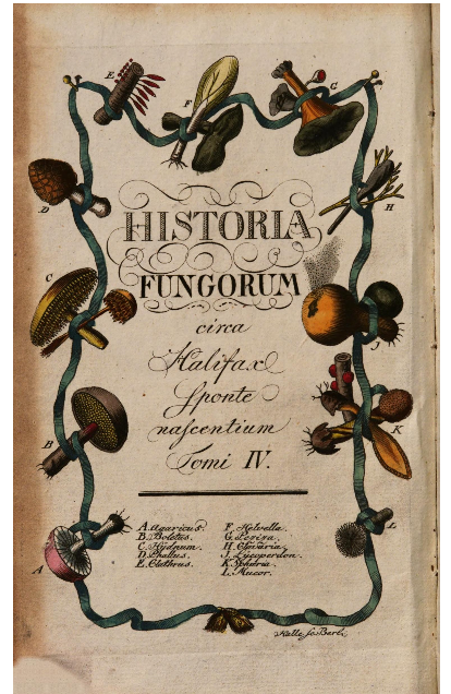 ORSTNK's tweet photo. 🍄Německý atlas hub z roku 1795🍄obsahuje 44 kolorovaných rytin zajímavých druhů hub.
@narodniknihovna  16 FF 8
Jacob Boltons Geschichte der merkwürdigsten Pilze. Berlin: Buchhandlung des Geheimen Commerzien-Raths Pauli, 1795
https://t.co/OqegisXHPz https://t.co/4009rF4vt0