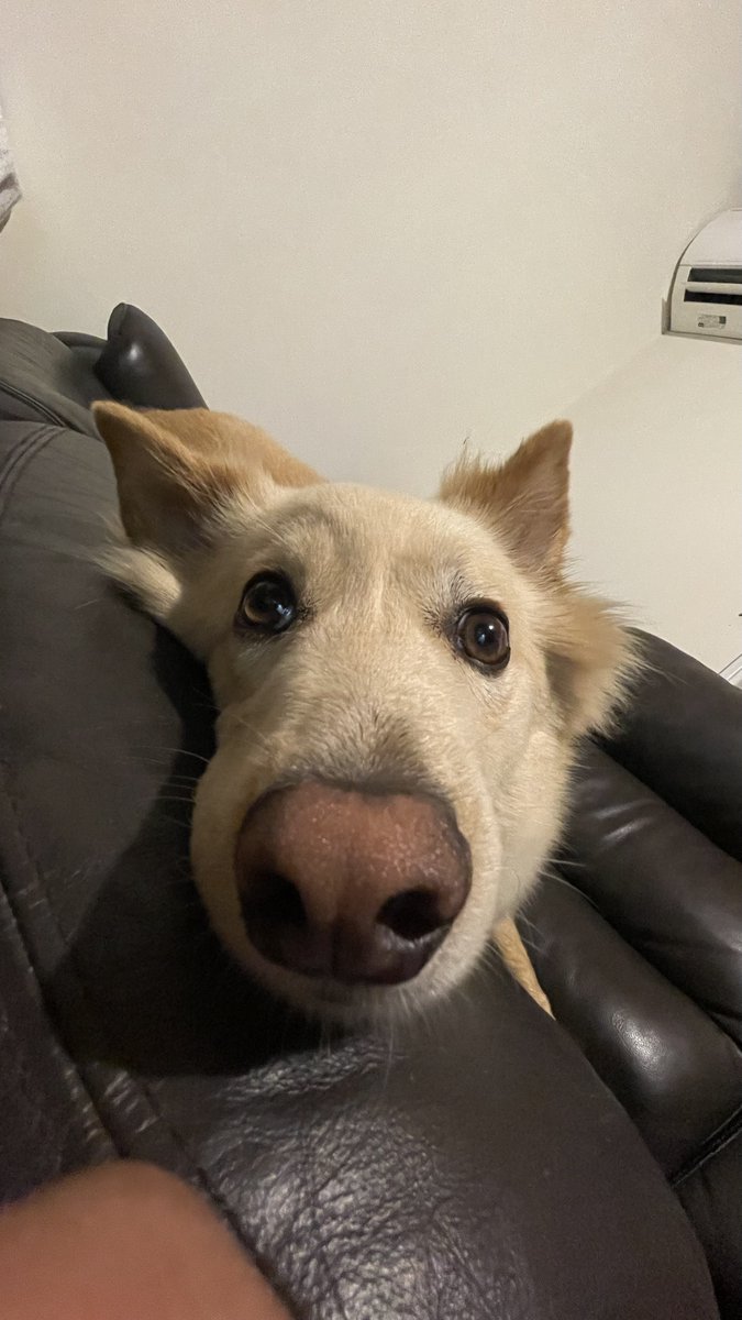 どこ見てるの？