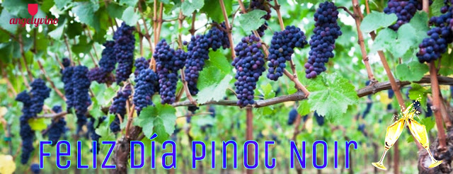 🆕NUEVA NOTA🍷
El 18 de agosto se celebra el día del Pinot Noir
Una de las cepas más distintivas de la escena del vino mundial
LINK ➡️ acortar.link/DiaPinot