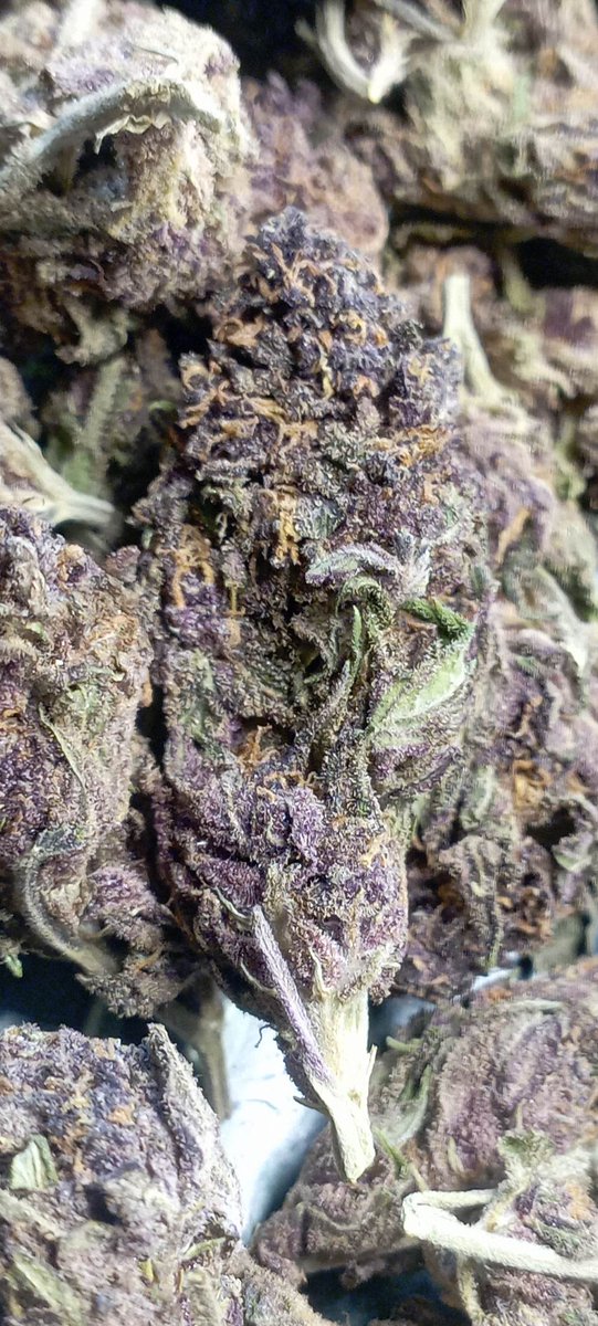 Si hay flores tropical poison y weed normal de maracuyá