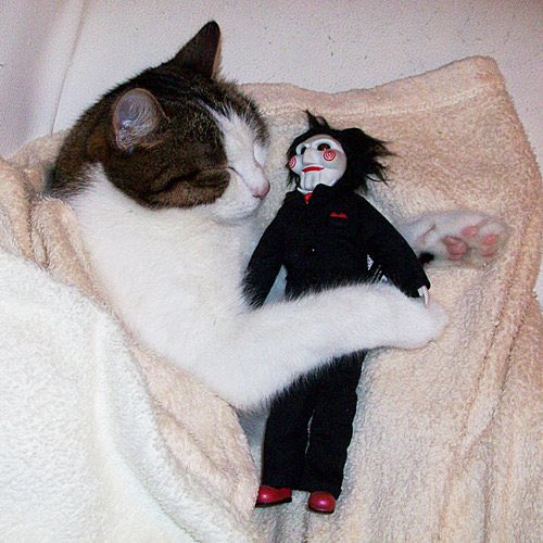 🔪 audra/quinn❓ tweet media