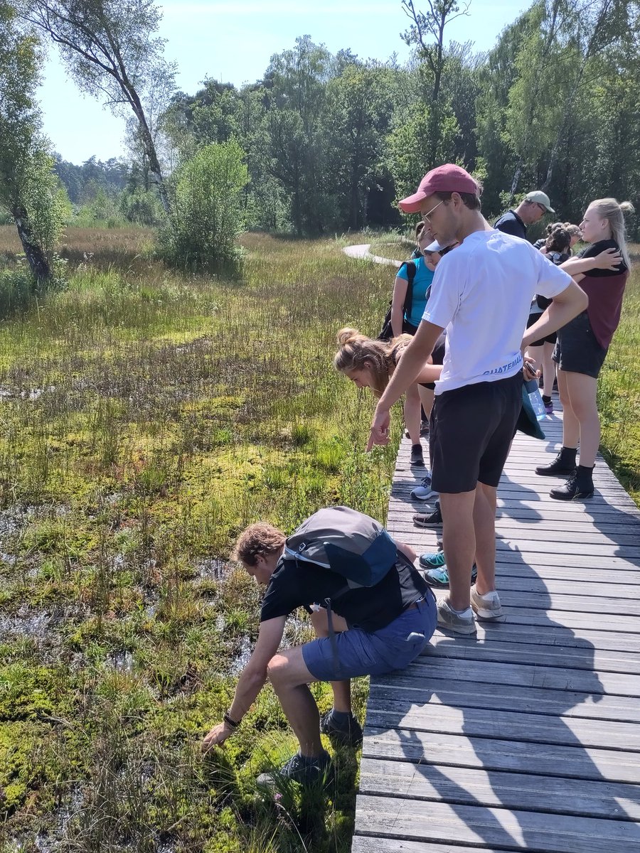 Tjirk van der Ziel tweet media