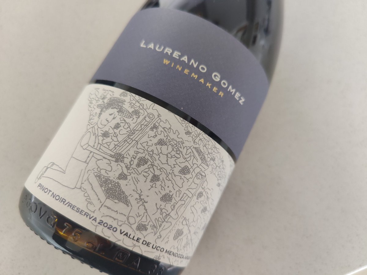 Feliz #DiaInternacionalDelPinotNoir La más elegante de las tintas. #PinotNoir 🍇🍷