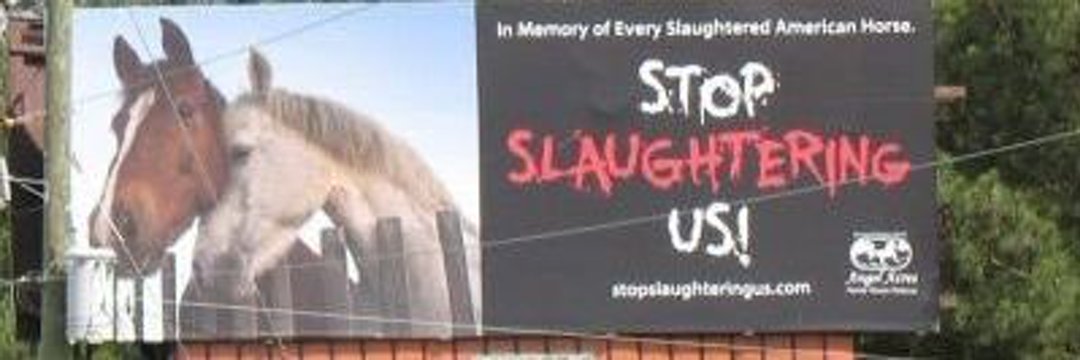 meliorist59's tweet photo. @Joni_Looking #StopTheRoundupsNOW
#StopTheSlaughterNOW
@POTUS
@SecDebHaaland
@BLMNational
#wtpEARTH
#ResistanceUnited https://t.co/UcLaEH1wOj