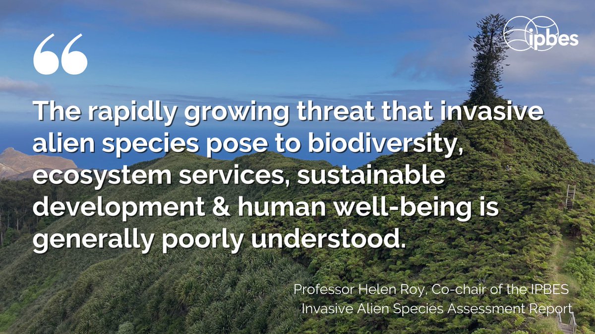 🗓️ Coming soon! The <a href="/IPBES/">ipbes</a> #InvasiveAlienSpecies Report planned launch on 4 Sep 2023 after #IPBES10 

📚 13K+ references
🌍 Insights from 86 experts from 49 countries
⏳ 4+ years of research

More info: ipbes.net/ipbes-10/prime… <a href="/UKLadybirds/">Helen Roy</a>