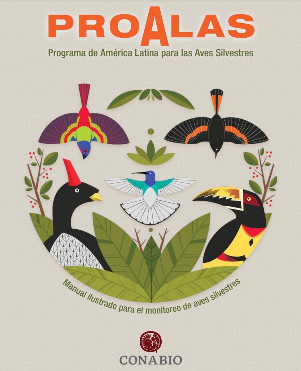 🍄 🐿🌳 Guías CONABIO 🐍🌵🐚

Te invitamos a conocer la sección de guías de la #BioTeca un espacio en donde podrás descargar gratis muchísimas guías de diferentes temas. 

Echele un ojo y descarga las que mejor te funcionen. 
bioteca.biodiversidad.gob.mx/guias.html